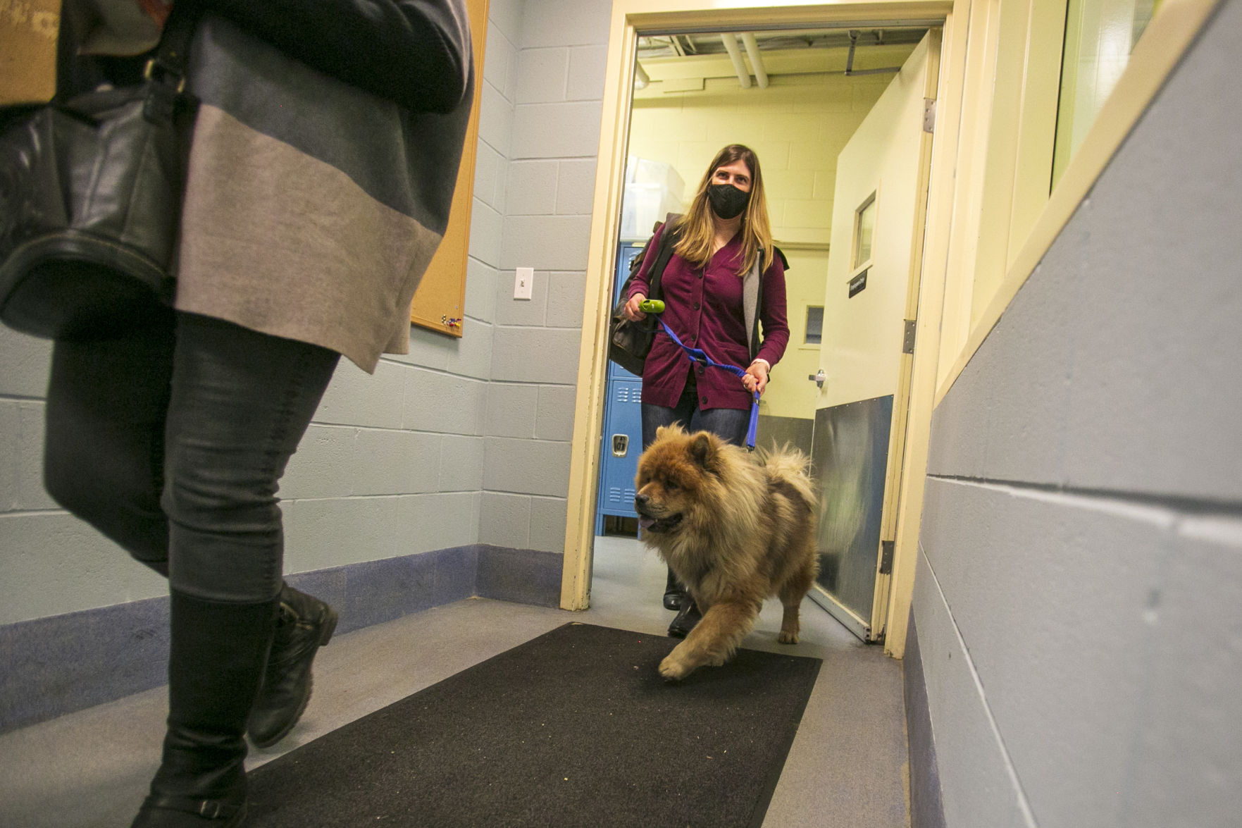 Leo the dog reunion